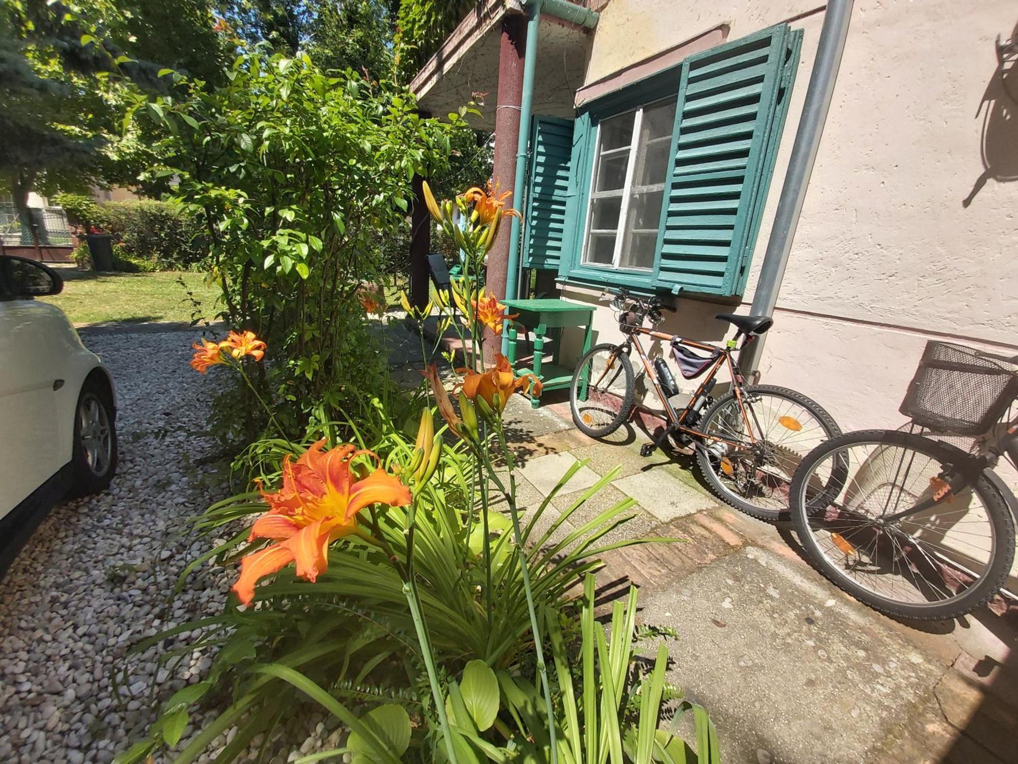 Garden Budha Relax Apartman, Parking, Bbq, Terrace シオーフォク エクステリア 写真