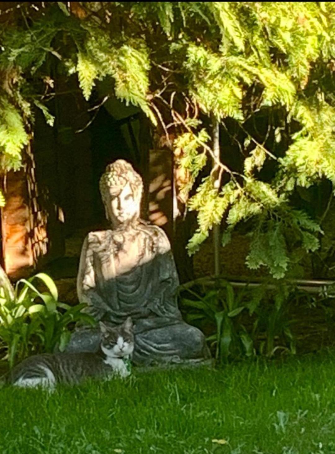 Garden Budha Relax Apartman, Parking, Bbq, Terrace シオーフォク エクステリア 写真